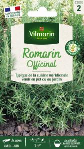 Romarin Officinal